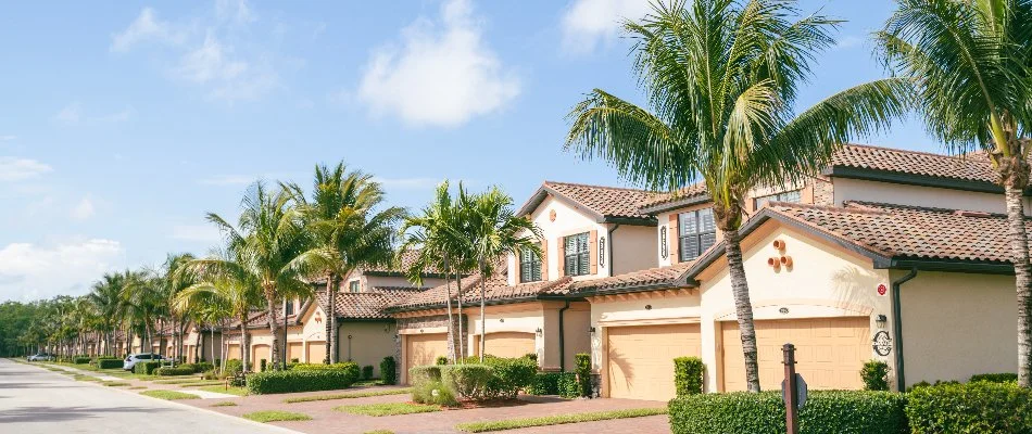 Residential community in The Villages, FL, with palm trees and landscaping.