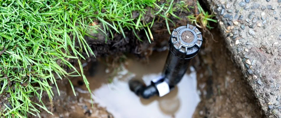 Broken sprinkler head with a puddle near grass in The Villages, FL.