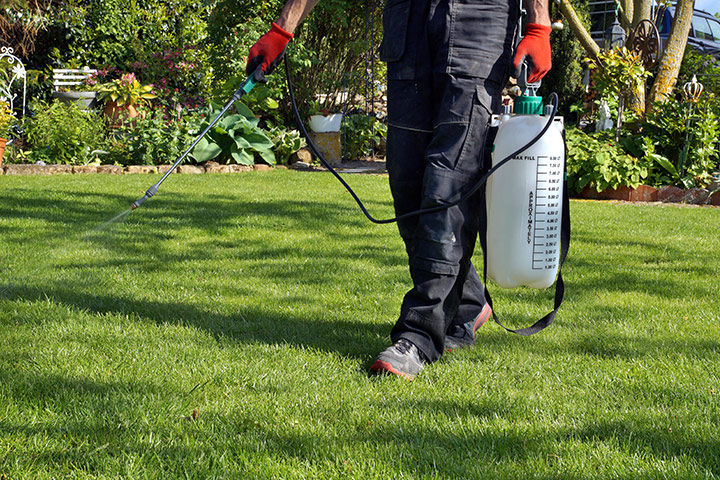 Expert in lawn care walking through lawn spreading a liquid weed control solution.